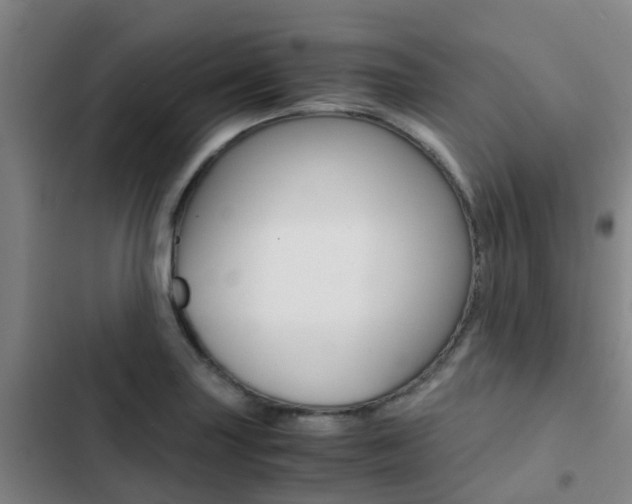 X0000103271227200808291059