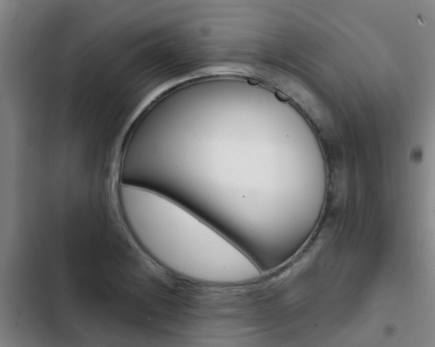 X0000103271228200808291059