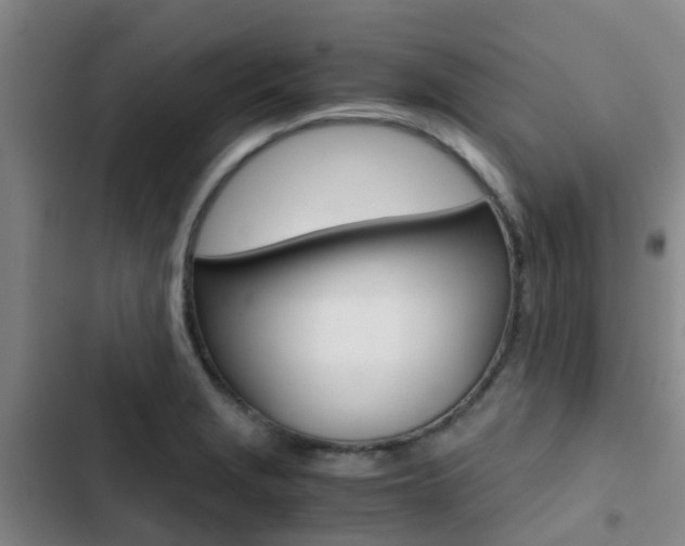 X0000103271229200808291059