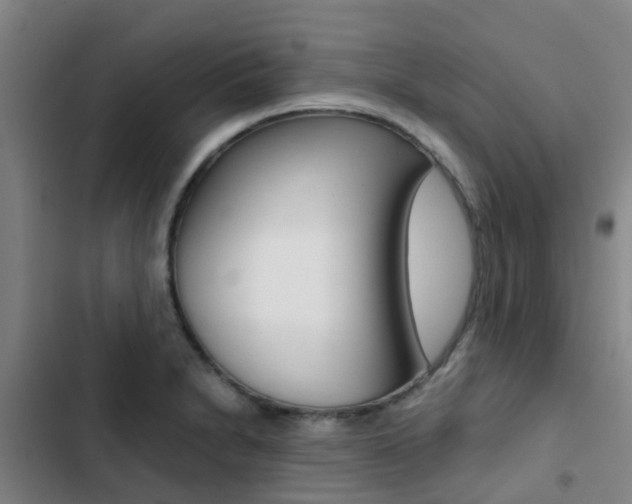 X0000103271230200808291059