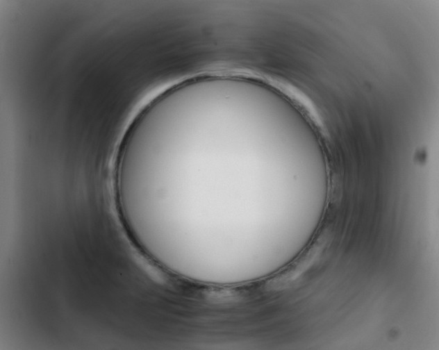 X0000103271231200808291059