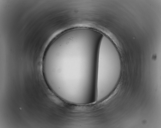 X0000103271232200808291059