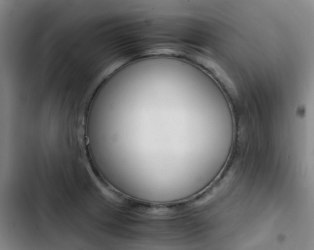 X0000103271233200808291059