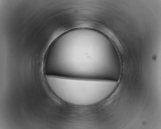 X0000103271234200808291059