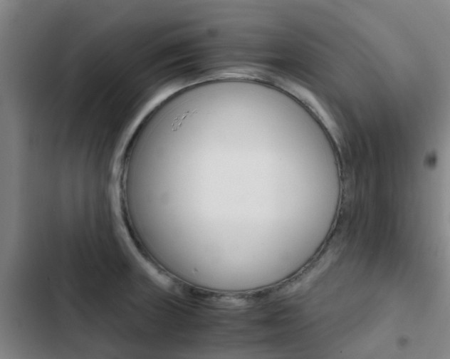X0000103271235200808291059