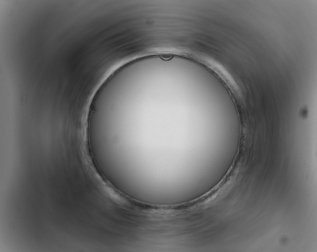 X0000103271236200808291059
