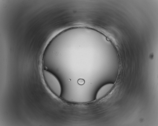 X0000103271239200808291059
