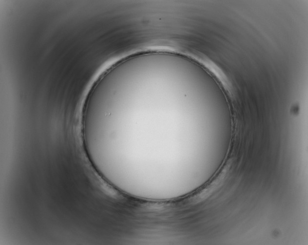 X0000103271240200808291059