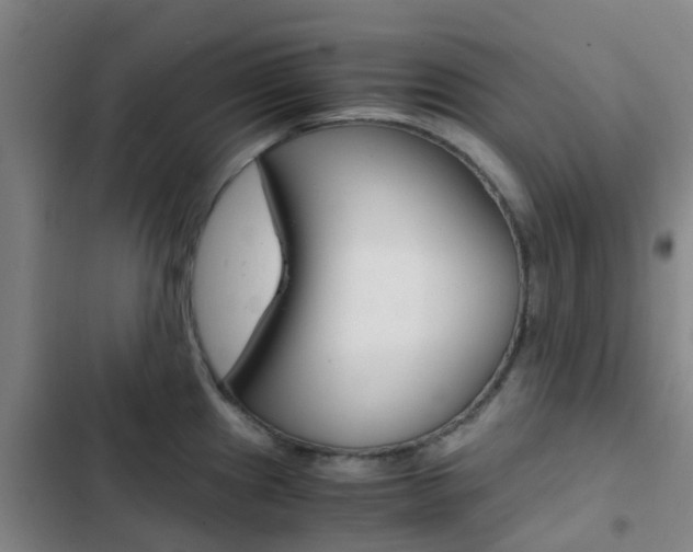 X0000103271241200808291059