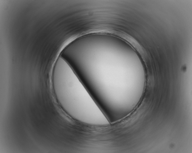 X0000103271242200808291059