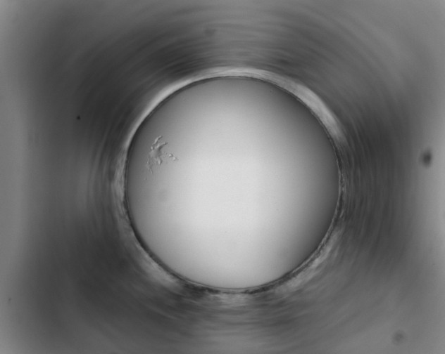 X0000103271244200808291059