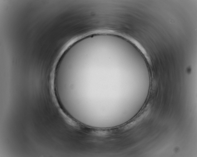 X0000103271245200808291059