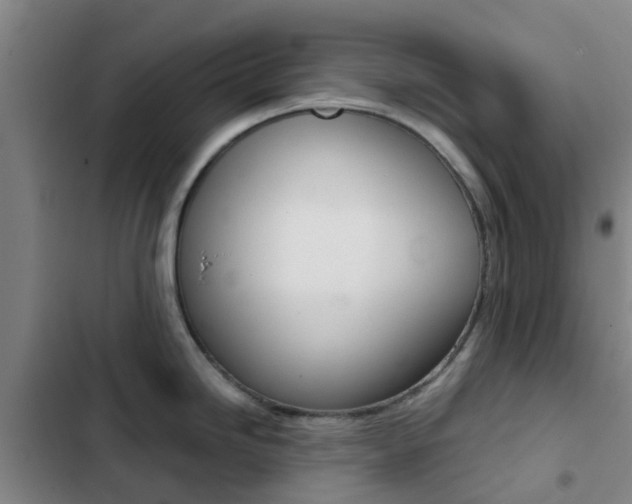 X0000103271246200808291100