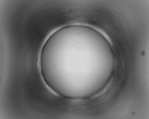 X0000103271247200808291100