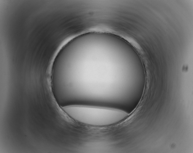 X0000103271248200808291100