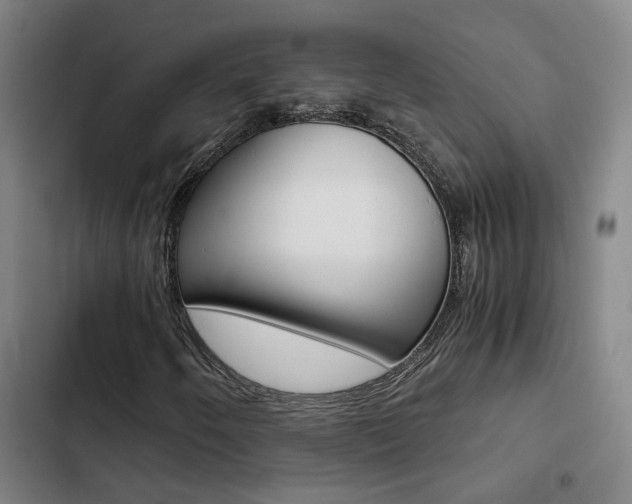 X0000103271250200808291059