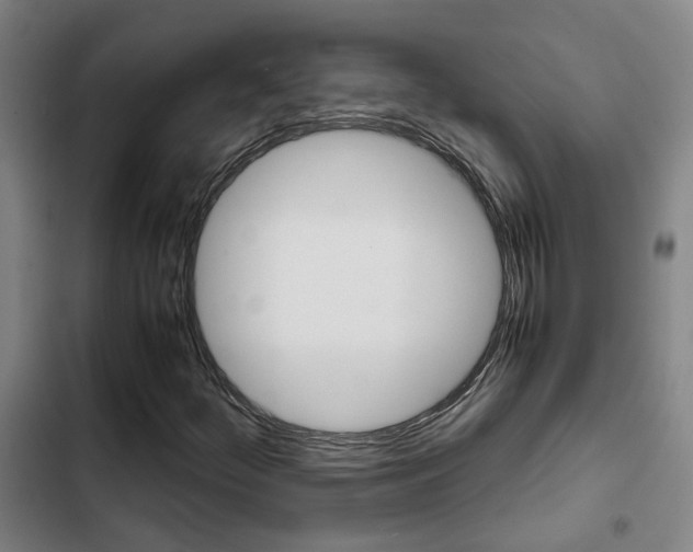 X0000103271252200808291059