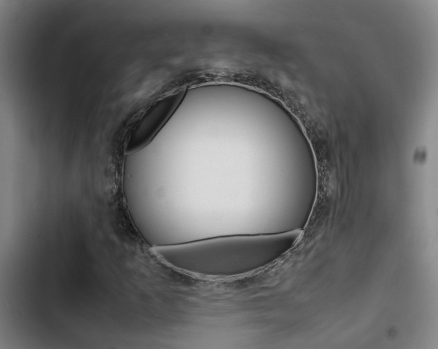 X0000103271253200808291059