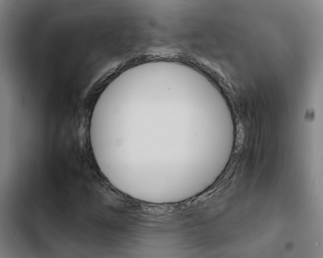 X0000103271254200808291059