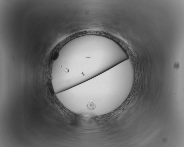 X0000103271255200808291059