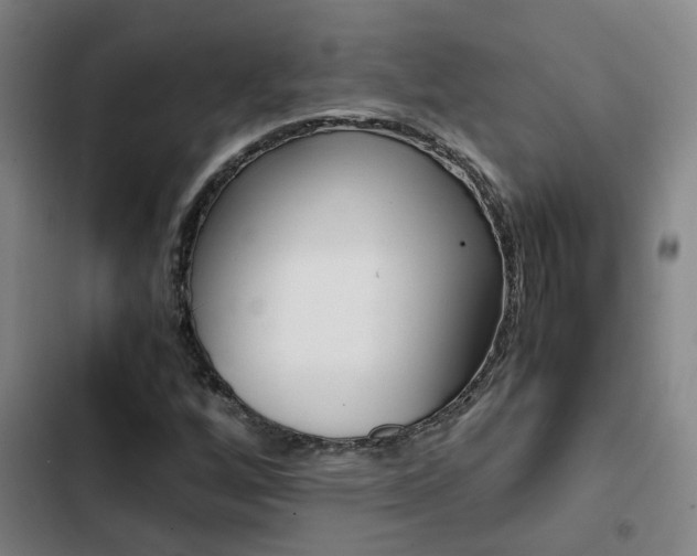 X0000103271256200808291059