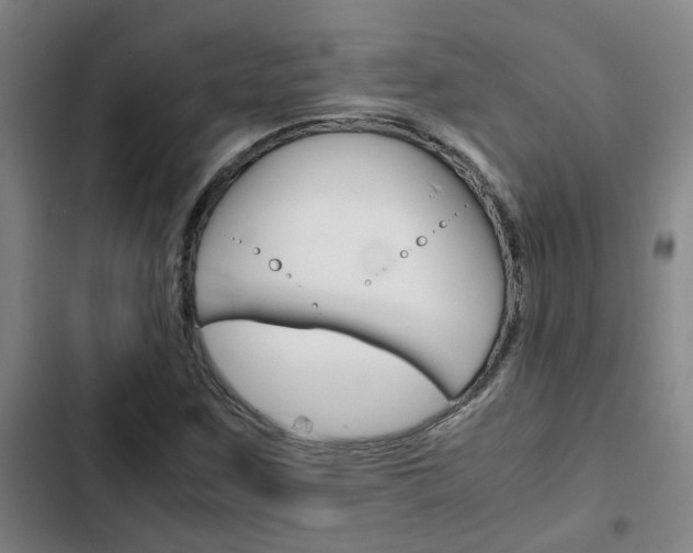 X0000103271259200808291059