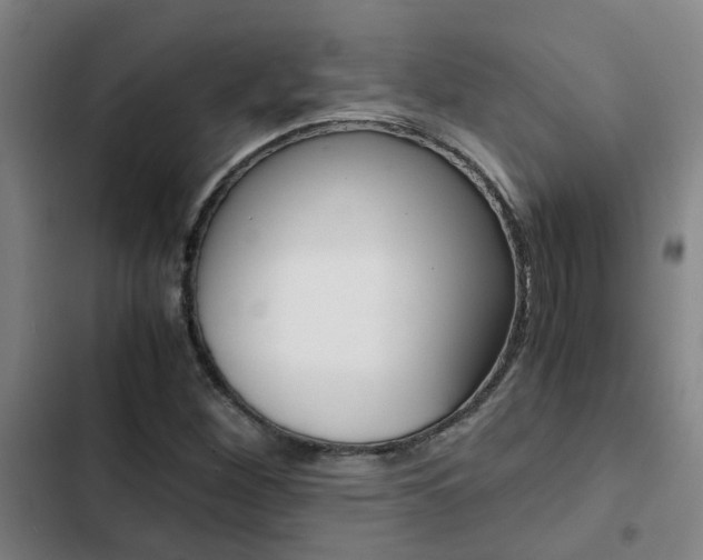 X0000103271260200808291059