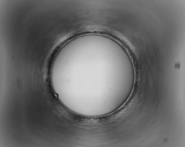 X0000103271261200808291059
