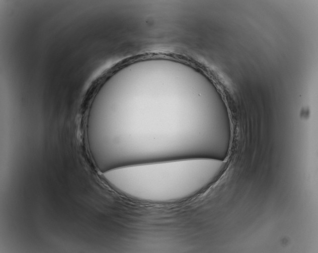 X0000103271262200808291059