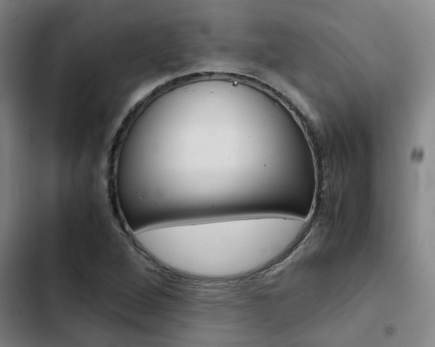 X0000103271264200808291058