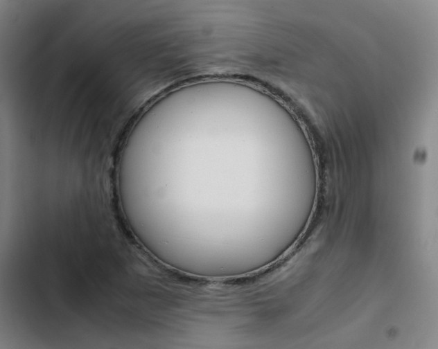 X0000103271265200808291058