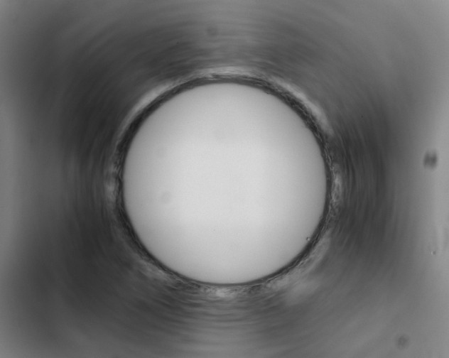 X0000103271266200808291058