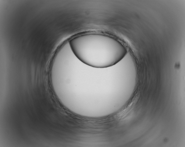 X0000103271267200808291058