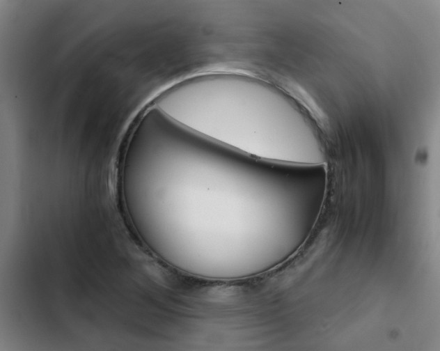 X0000103271268200808291058