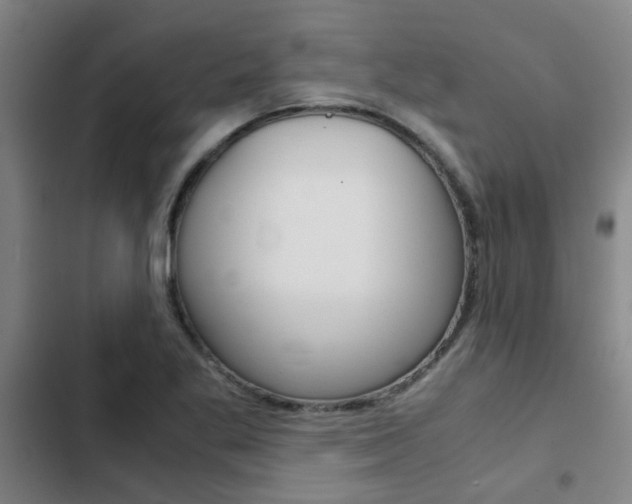 X0000103271269200808291058