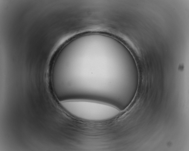 X0000103271270200808291058
