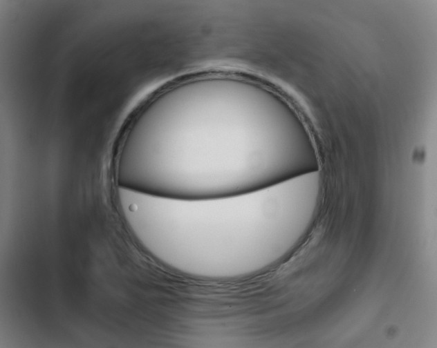 X0000103271271200808291058