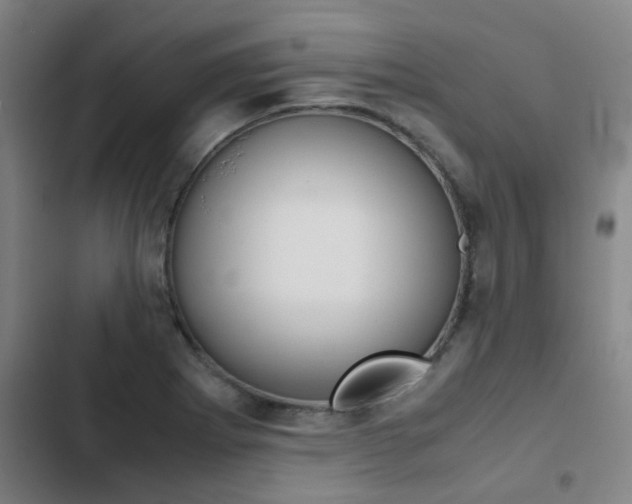 X0000103271273200808291058