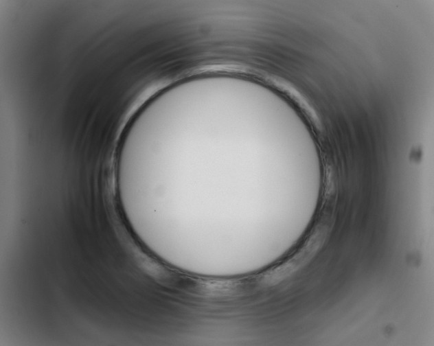 X0000103271274200808291058