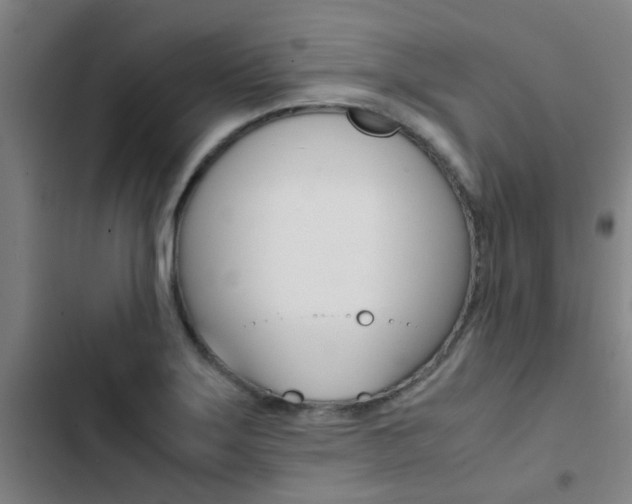X0000103271275200808291058