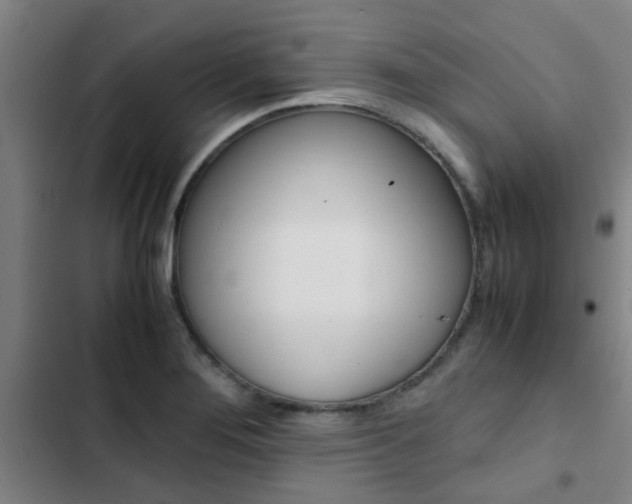 X0000103271276200808291058