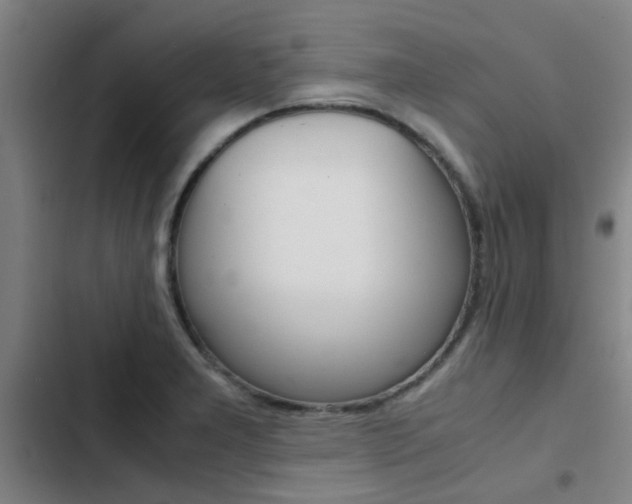 X0000103271277200808291058