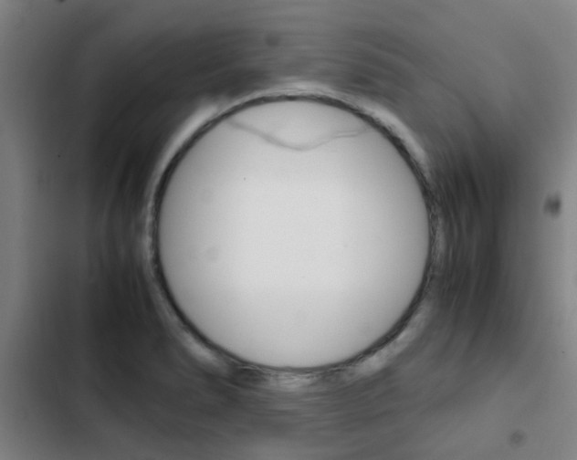 X0000103271278200808291058