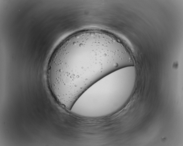 X0000103271279200808291058