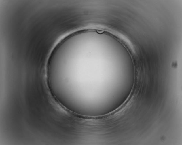 X0000103271280200808291058