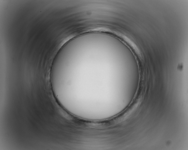 X0000103271281200808291058