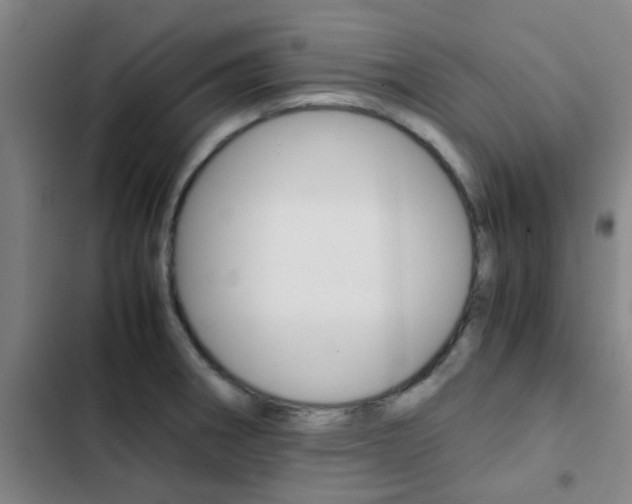 X0000103271282200808291058