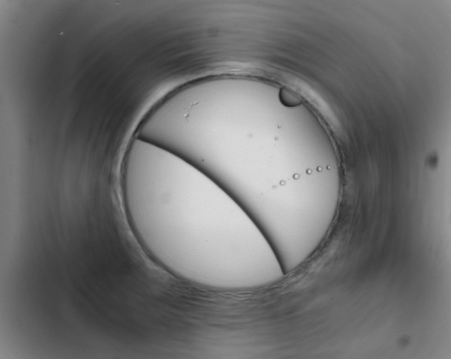 X0000103271283200808291058