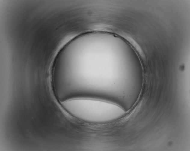 X0000103271285200808291058