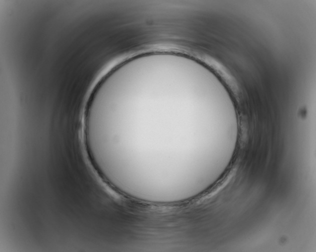 X0000103271286200808291058